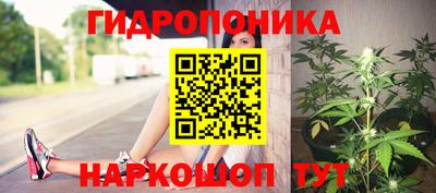 сатива Лесосибирск