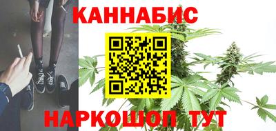 сатива Лесосибирск