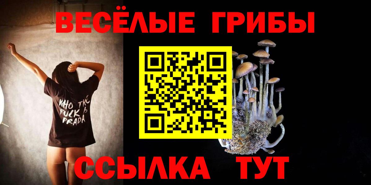 Псилоцибиновые грибы Magic Shrooms Сатка