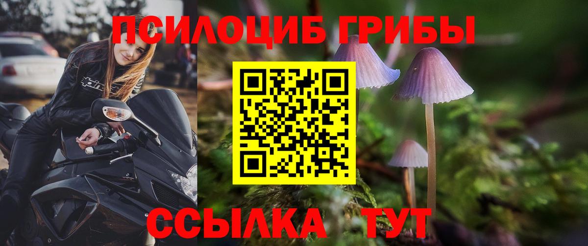 купить наркотики сайты  Вход с VPN  Сатка  Псилоцибиновые грибы Magic Shrooms 